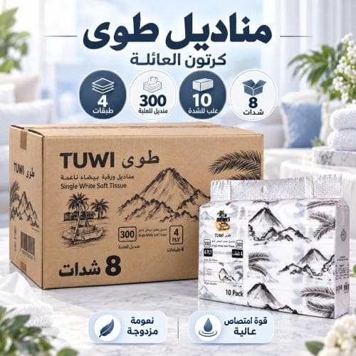 Carton of Folded Tissues 300 Sheets 4-Ply – 10 Boxes per Bundle, 8 Bundles per Carton
